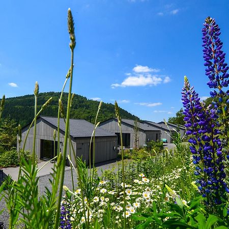 Sauerland Lodge - Haus Juliana Winterberg Kültér fotó
