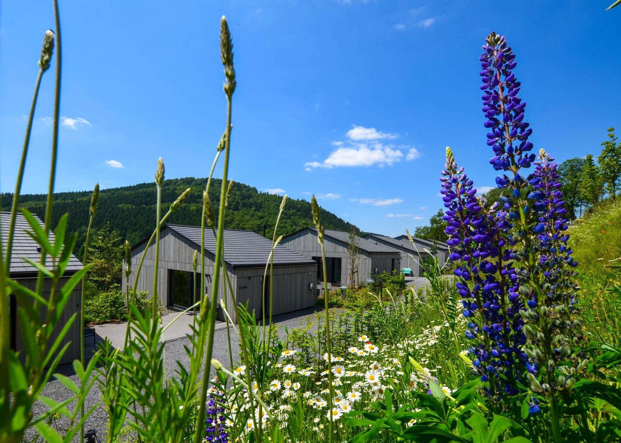 Sauerland Lodge - Haus Juliana Winterberg Kültér fotó